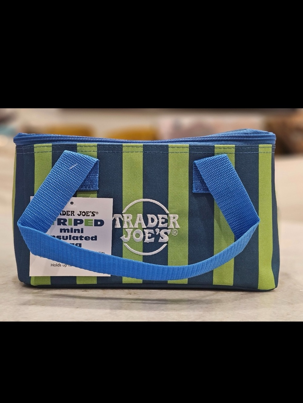 Trader Joe’s Blue and Green Striped Insulated Mini Tote